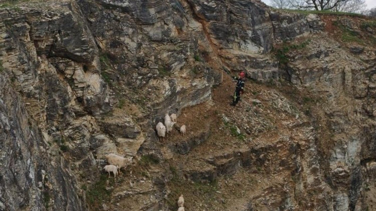 Cansiparane müdahale ettiler 3 saat süren keçi kurtarma operasyonu