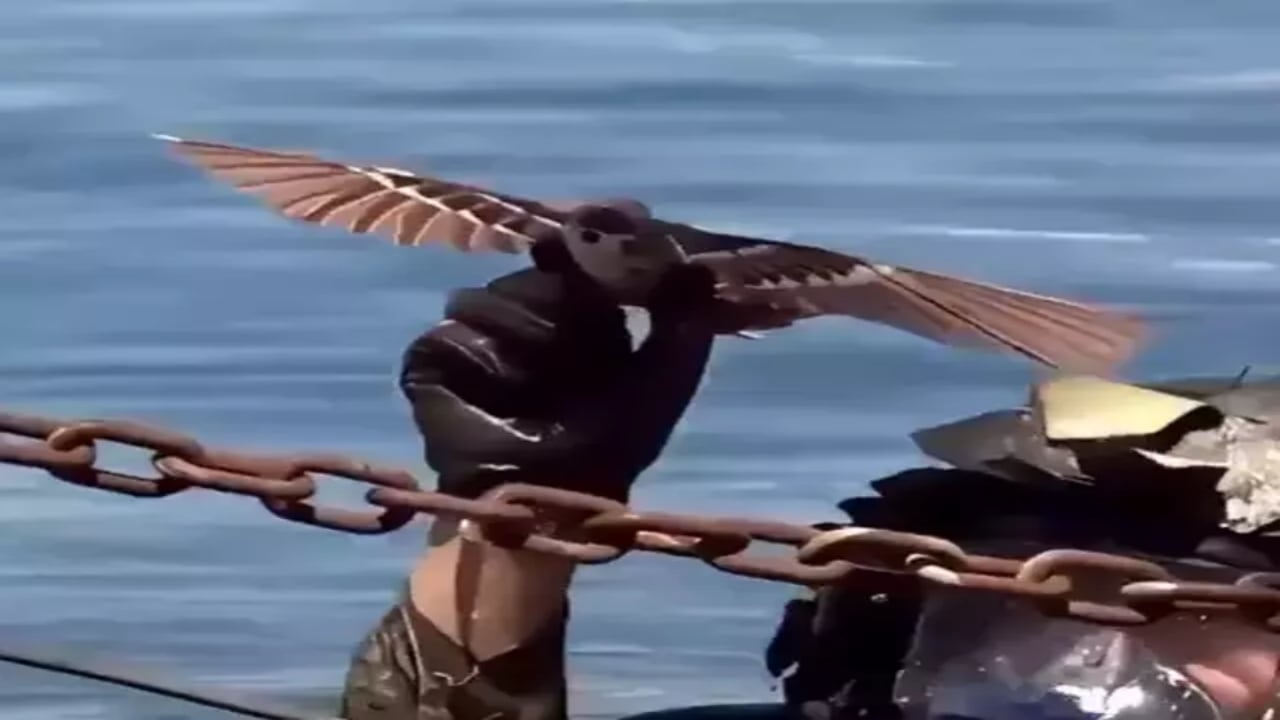 Foto - Casus gibi keşif yapıyor, en gizli istihbaratları topluyor! Bu "kuş", ABD’nin resmen kâbusu olacak