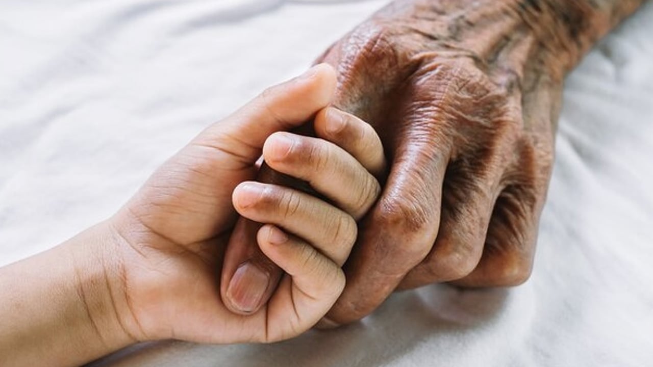 Foto - Çay ve nar kombinasyonu: Bir fincanı bile büyük şifa kaynağı olabilir! Bilim insanları ortaya çıkardı