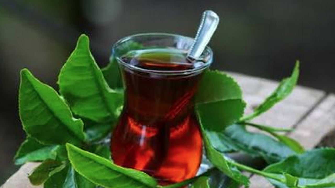 Foto - Çay yaprakları neden yitirir: Çaydaki lezzeti yok eden o hata: Cam kavanozda muhafaza ederseniz...