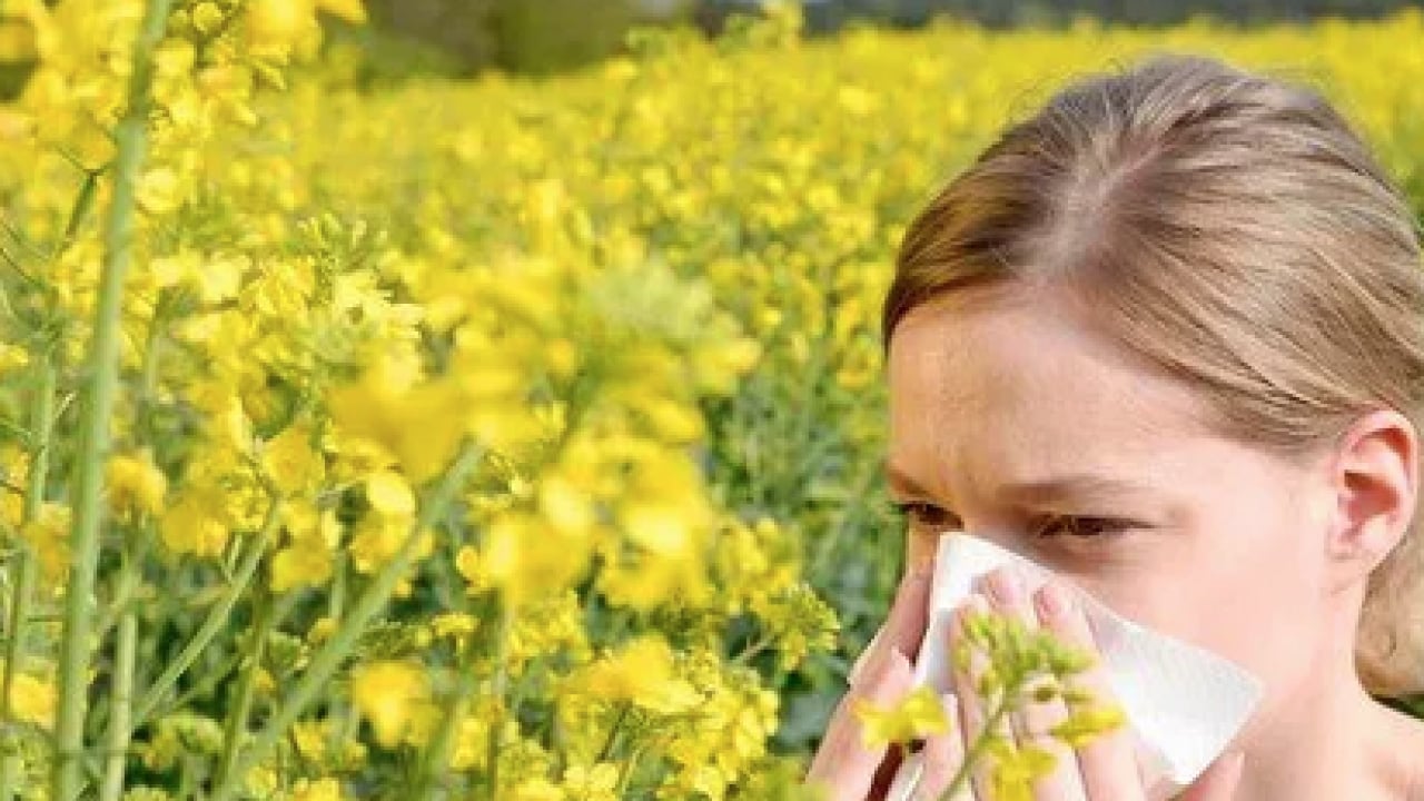 Foto - Çayır, çiçek ve ağaç polenlerinden muzdarip iseniz! Bu problem başa bela... 