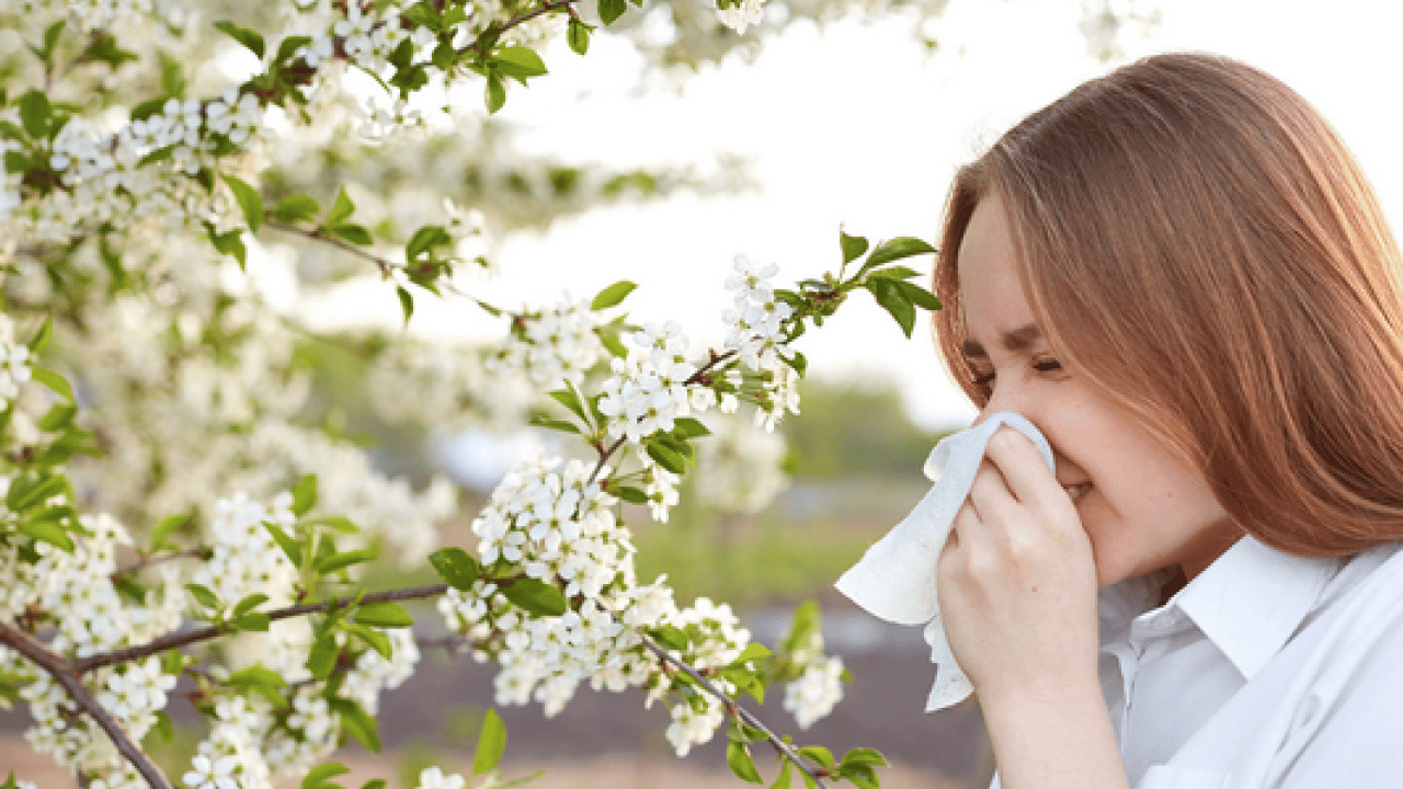 Foto - Çayır, çiçek ve ağaç polenlerinden muzdarip iseniz! Bu problem başa bela... 