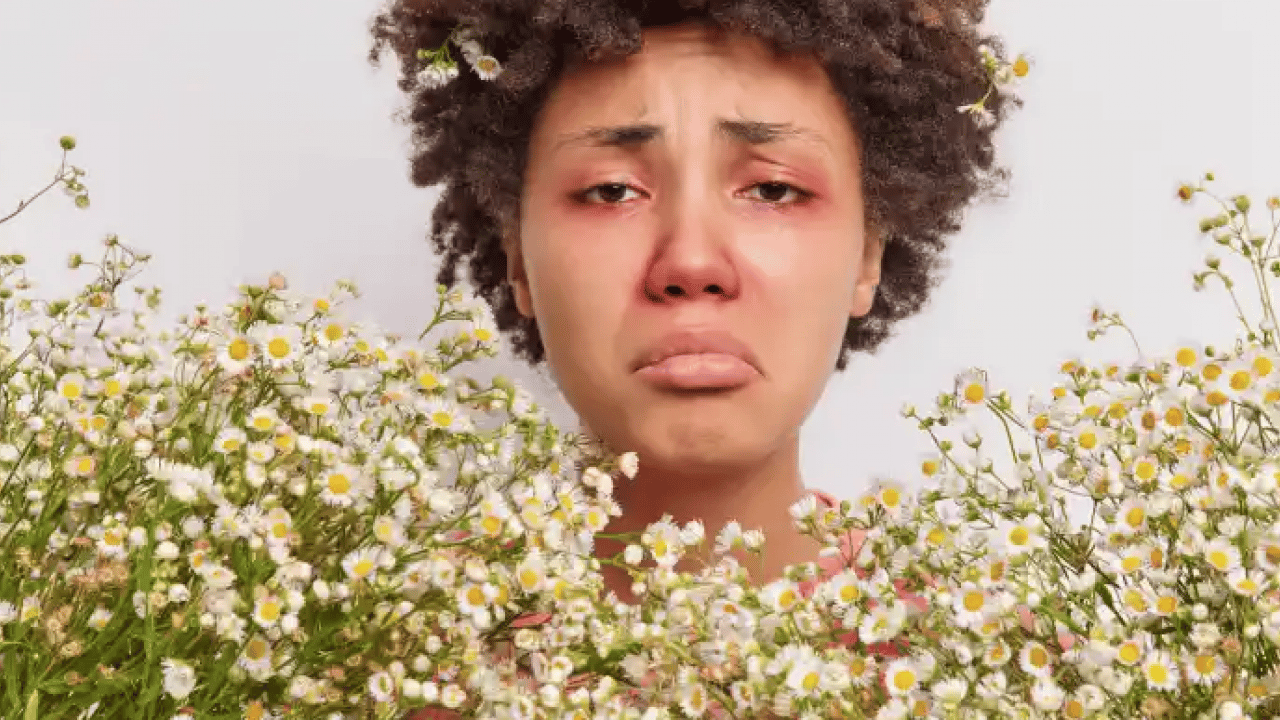 Çayır, çiçek ve ağaç polenlerinden muzdarip iseniz! Bu problem başa bela... 