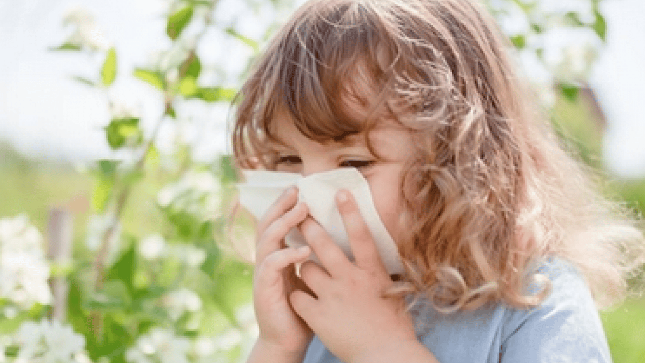 Foto - Çayır, çiçek ve ağaç polenlerinden muzdarip iseniz! Bu problem başa bela... 