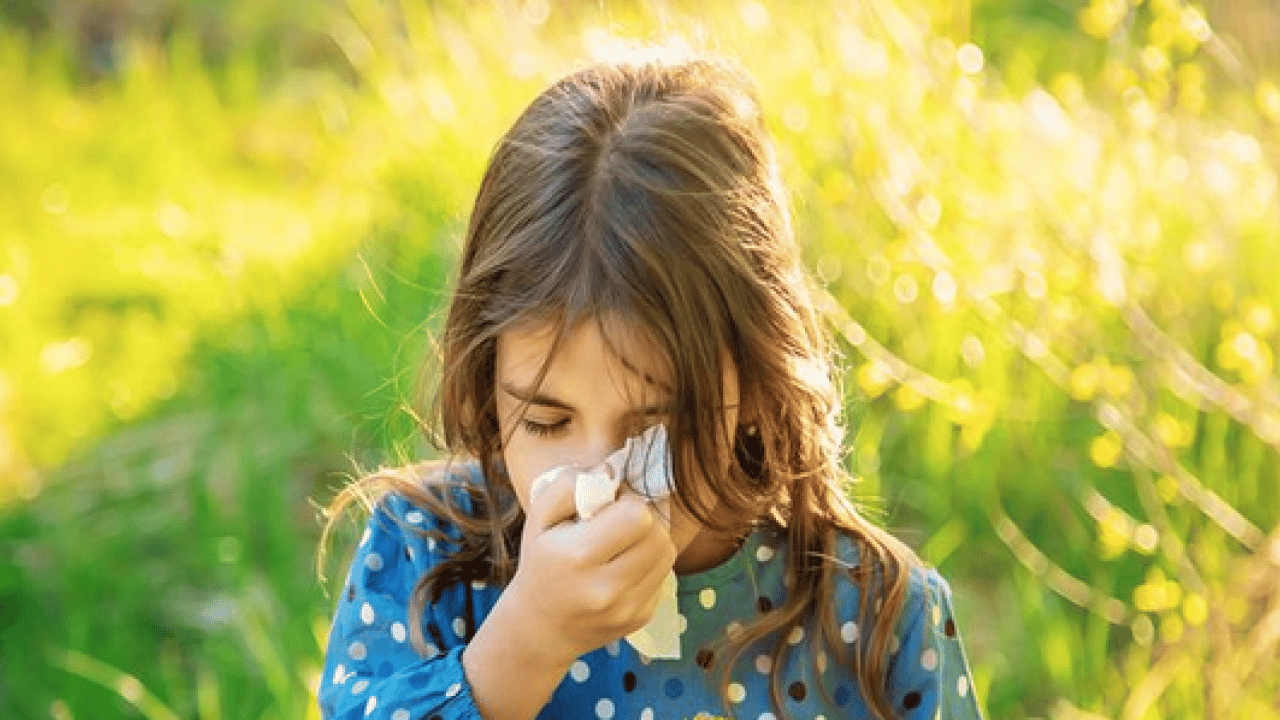 Foto - Çayır, çiçek ve ağaç polenlerinden muzdarip iseniz! Bu problem başa bela... 