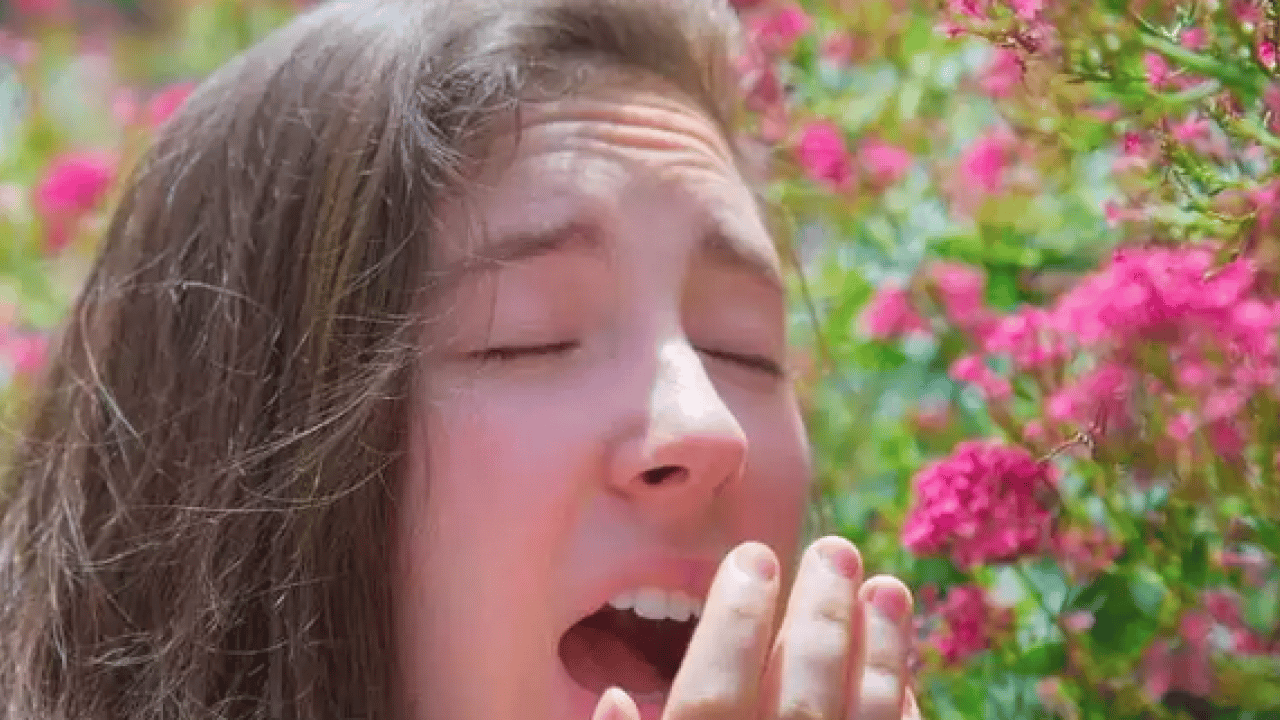 Foto - Çayır, çiçek ve ağaç polenlerinden muzdarip iseniz! Bu problem başa bela... 