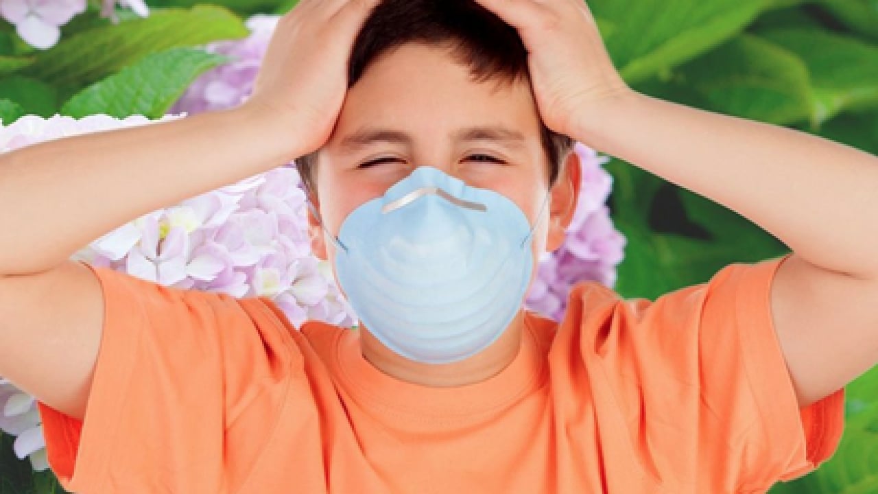 Foto - Çayır, çiçek ve ağaç polenlerinden muzdarip iseniz! Bu problem başa bela... 