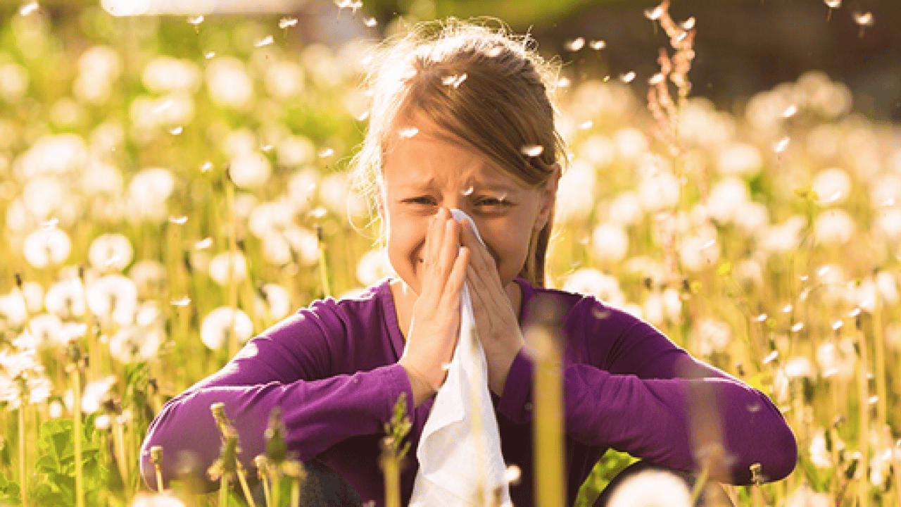 Foto - Çayır, çiçek ve ağaç polenlerinden muzdarip iseniz! Bu problem başa bela... 