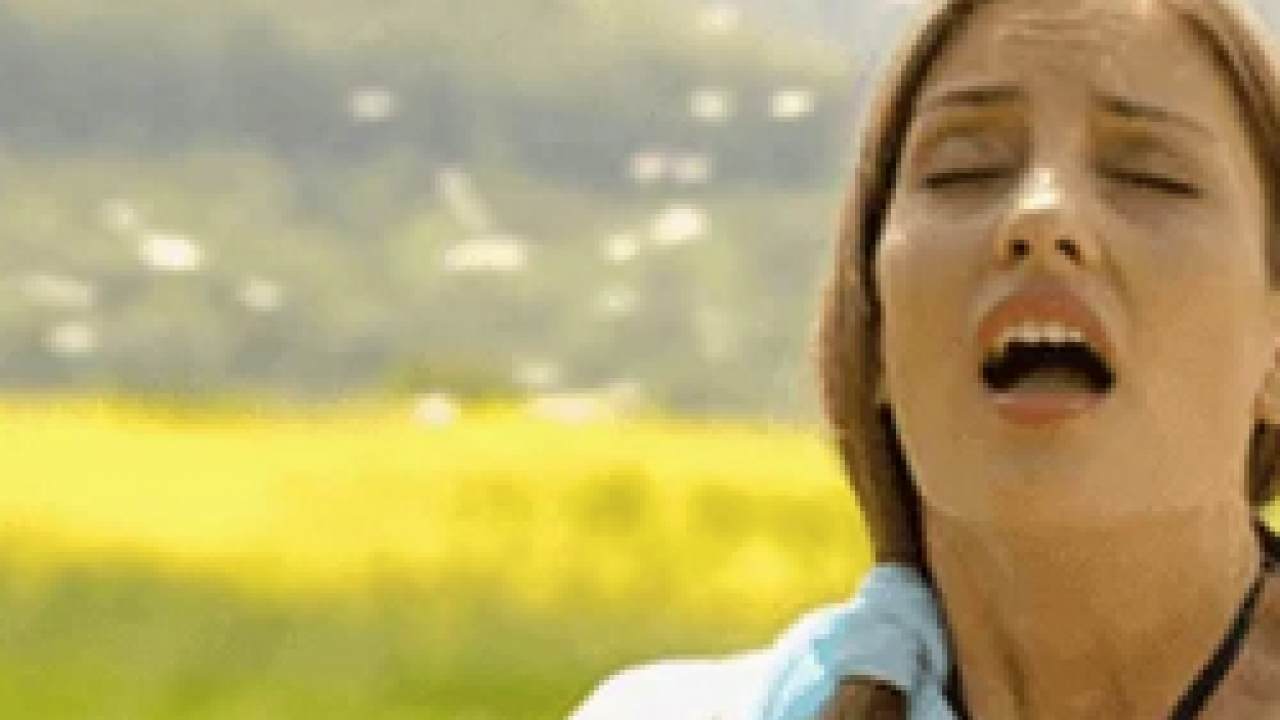 Foto - Çayır, çiçek ve ağaç polenlerinden muzdarip iseniz! Bu problem başa bela... 