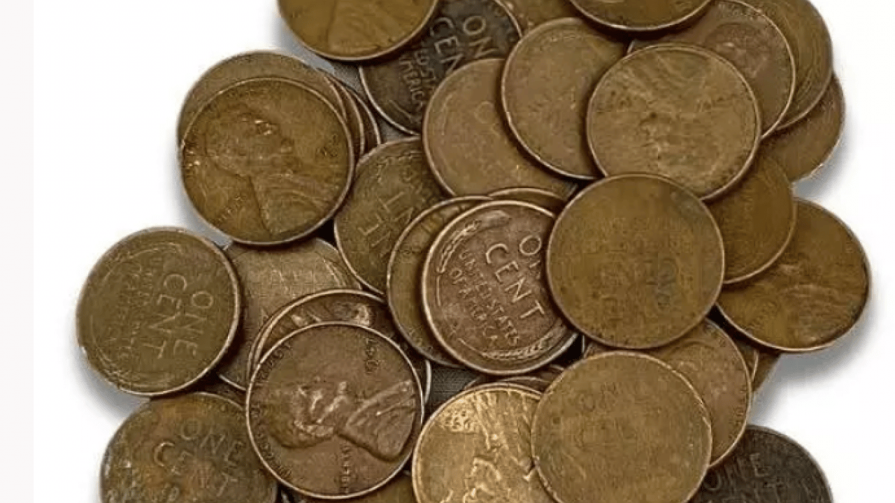 Foto - Cebinde olan köşeyi döndü: Koleksiyonerler 5 milyar lira veriyor