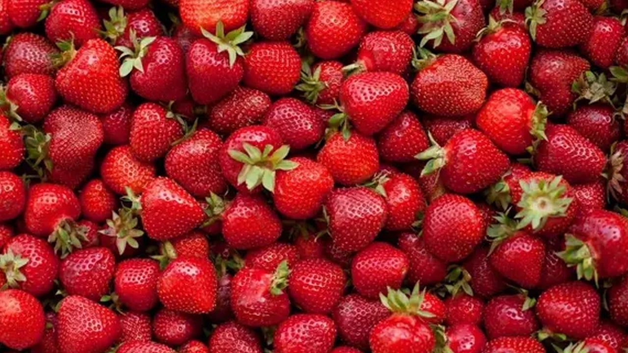 Foto - Çekirdeğini böyle tüketenler farkını görüyor... Sebze değil o meyve: Lif, vitamin ve antioksidan deposu