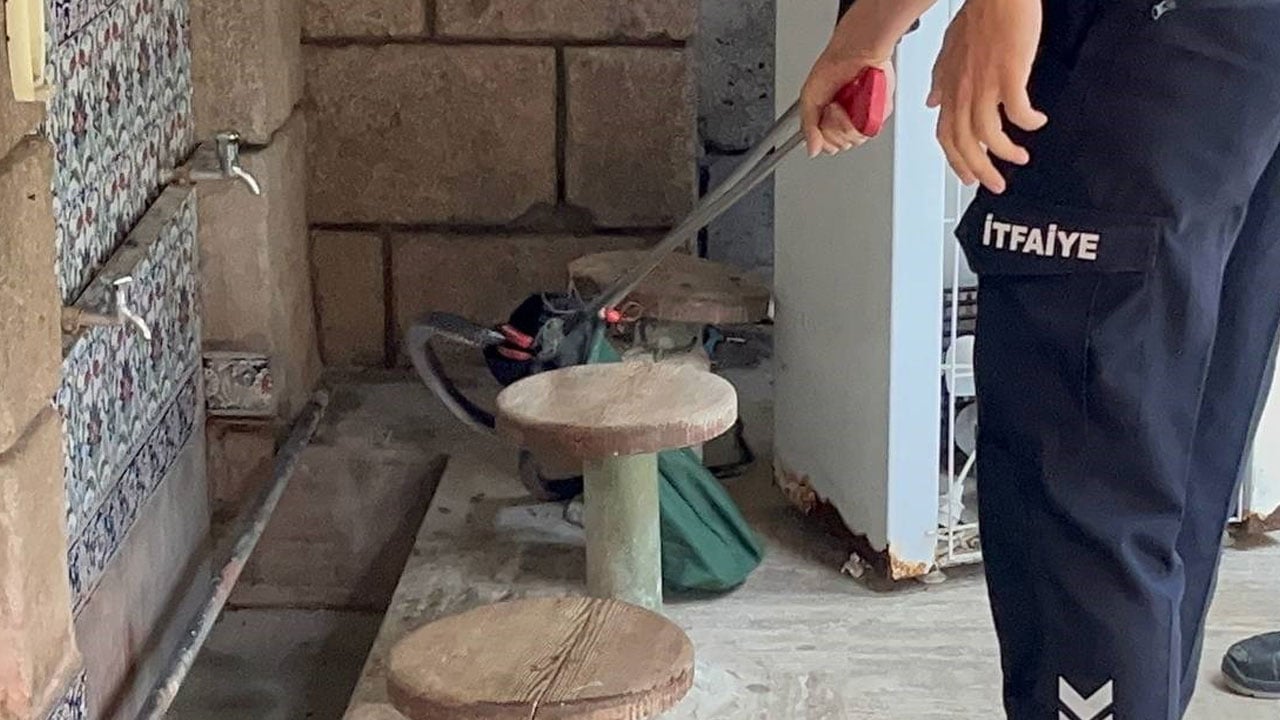 Foto - Cemaat şok! Namaza gelenleri 1.5 metrelik yılan karşıladı 