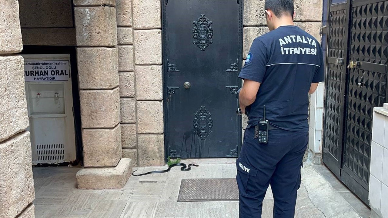 Foto - Cemaat şok! Namaza gelenleri 1.5 metrelik yılan karşıladı 