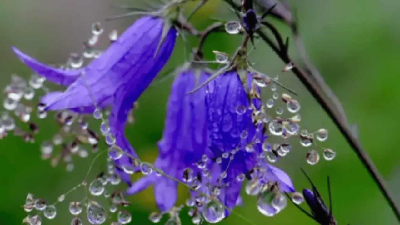 Foto - Cemre suya ne zaman düşecek? Baharın ikinci müjdecisi için tarih belli oldu