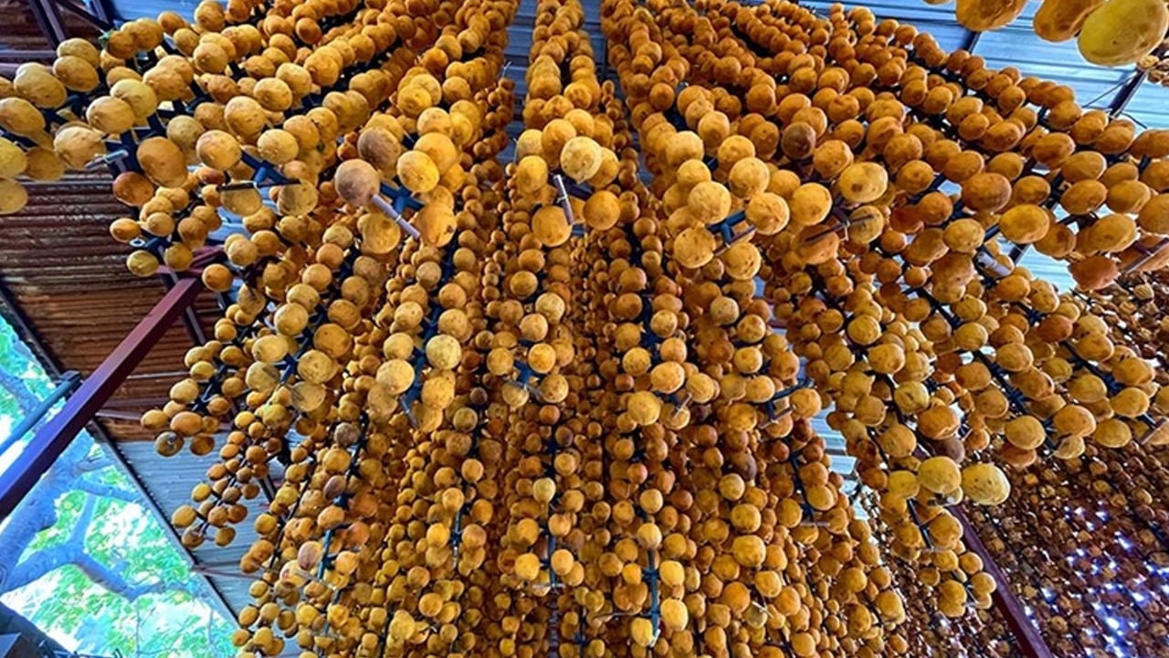 Foto - Cennet hurması, eski adıyla kaki büyük öneme sahip: Şu şekilde sindirim sistemini düzenler! Bu bilgi çok önemli şaşırttı 