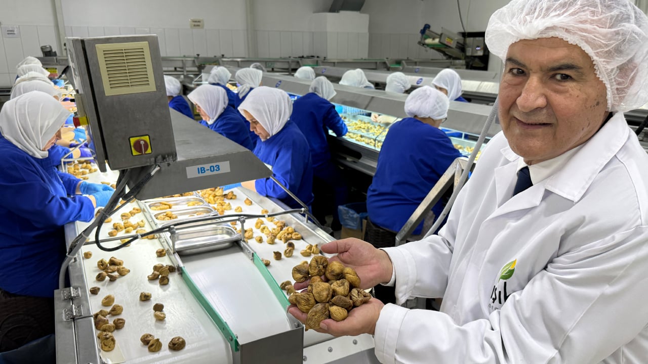 Foto - Cennet meyvesi rekora koştu! İlk defa 300 milyon dolar barajı aşıldı! Dünya sofralarına ulaştı