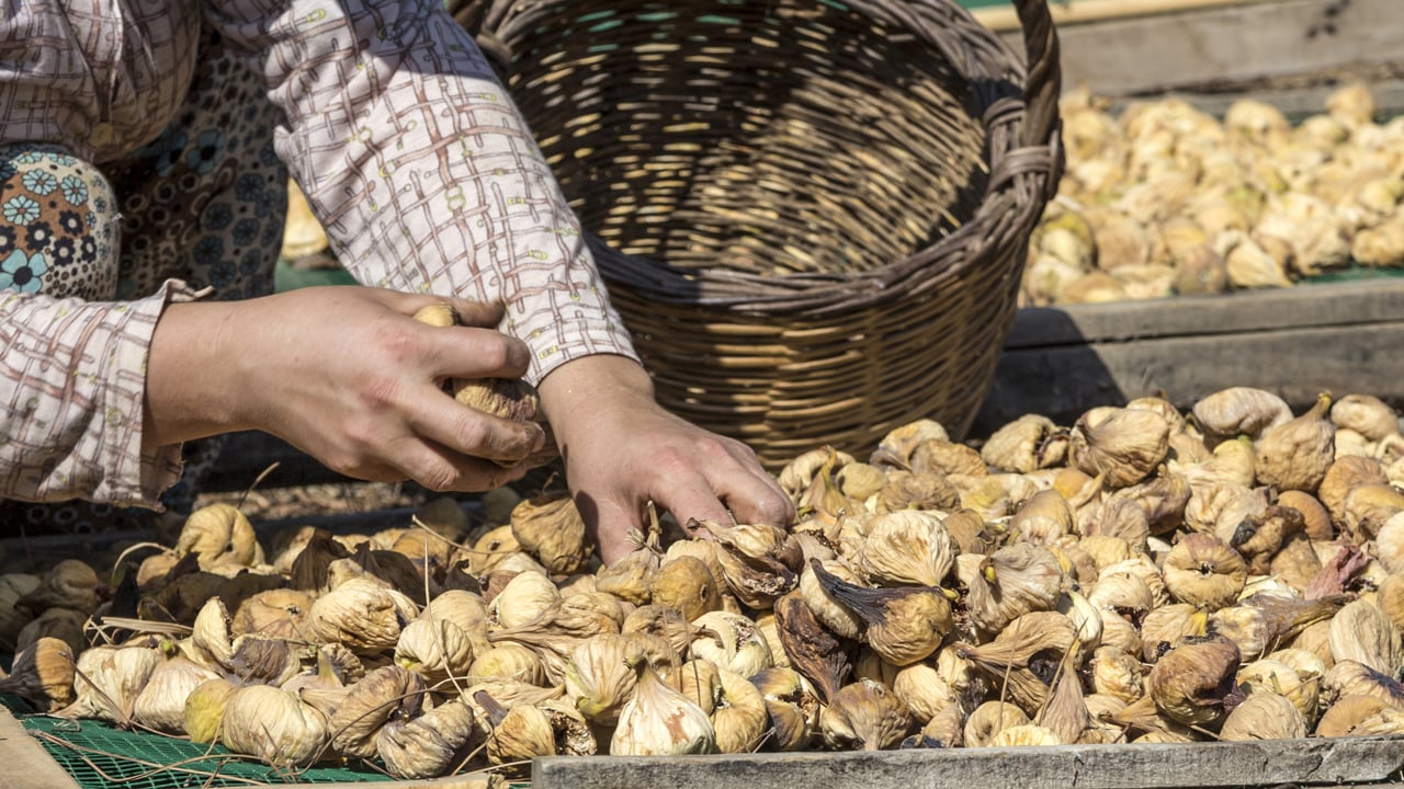 Foto - Cennet meyvesi rekora koştu! İlk defa 300 milyon dolar barajı aşıldı! Dünya sofralarına ulaştı