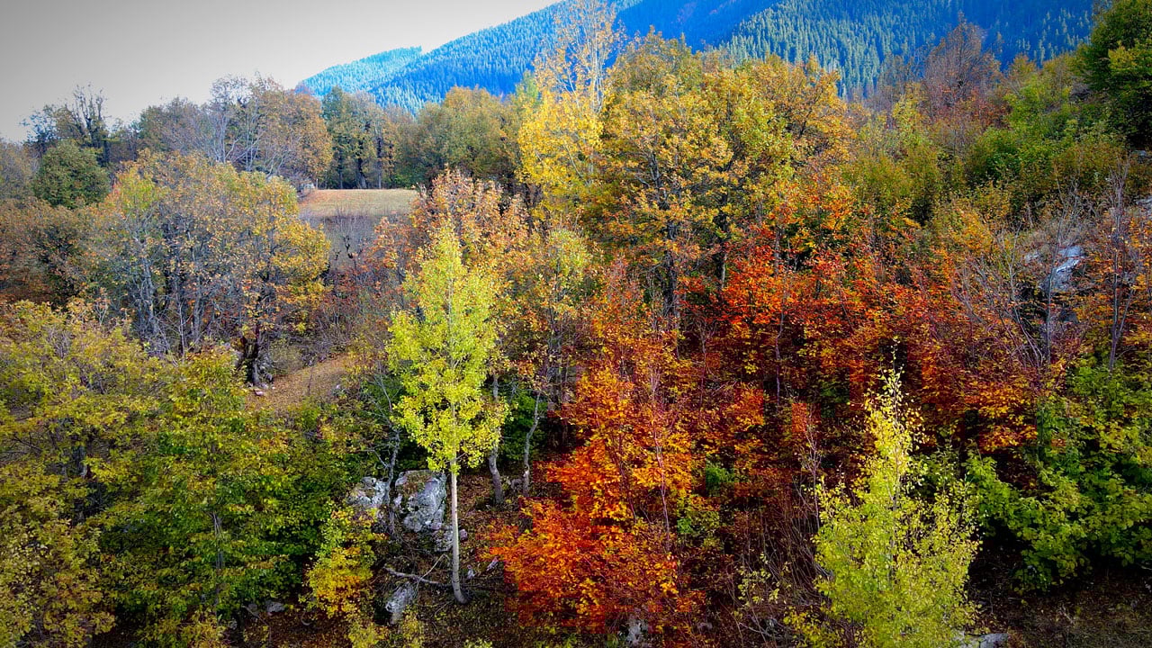 Foto - Cennetten bir köşe: Şavşat sonbaharda kartpostala döndü