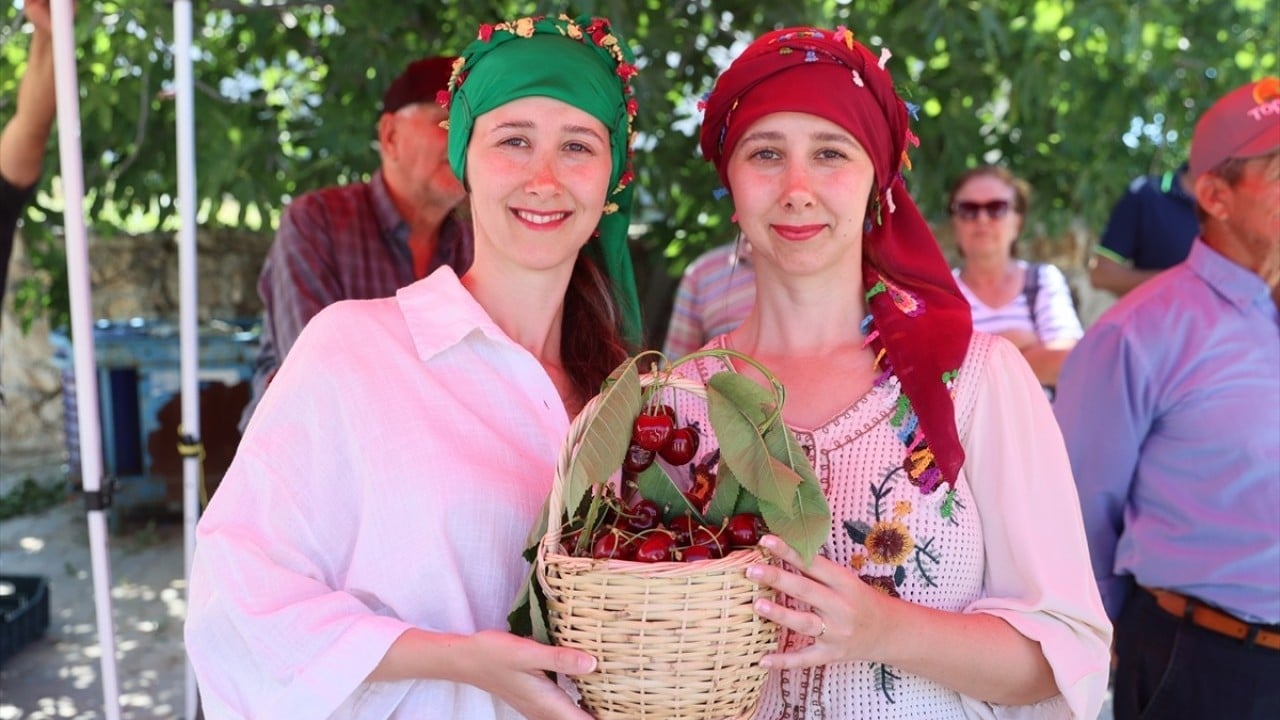 Çeribaşı kirazının hasadı başladı! Büyük bölümü Avrupa’ya ihraç ediliyor 