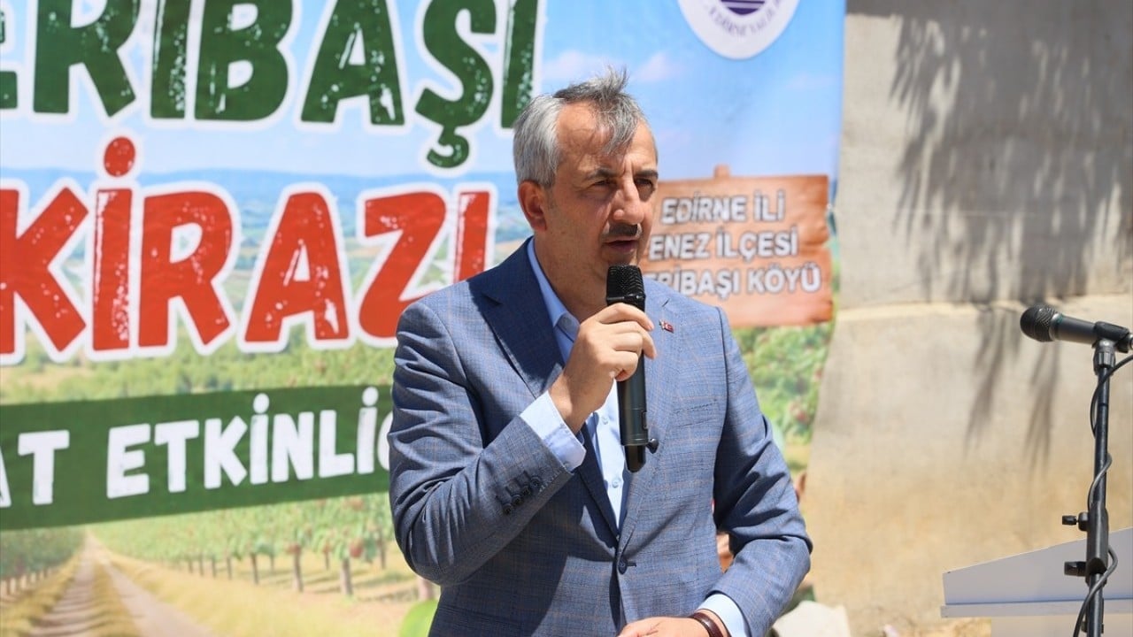 Foto - Çeribaşı kirazının hasadı başladı! Büyük bölümü Avrupa’ya ihraç ediliyor 
