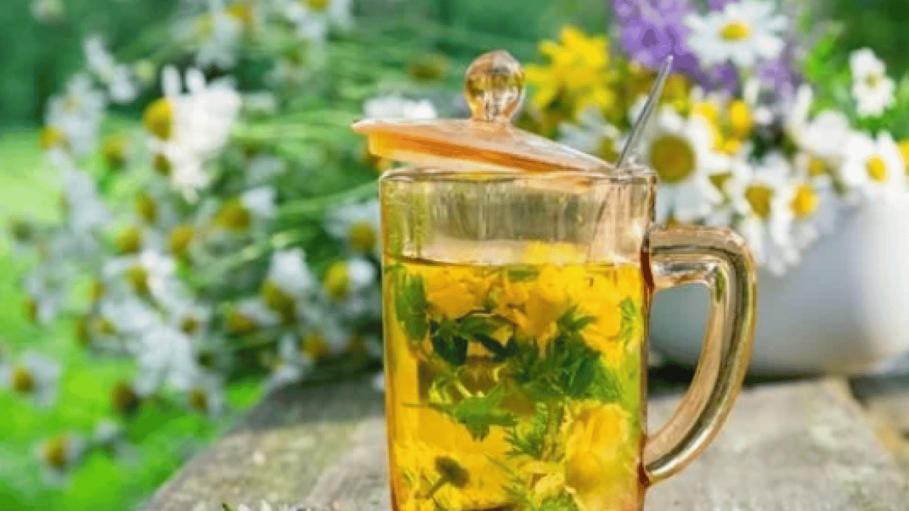 Foto - Çeşitli basit hastalıklarda bitki çaylarını dozunda kullanın: Uzmanı uyardı! Önlemi alın diyor