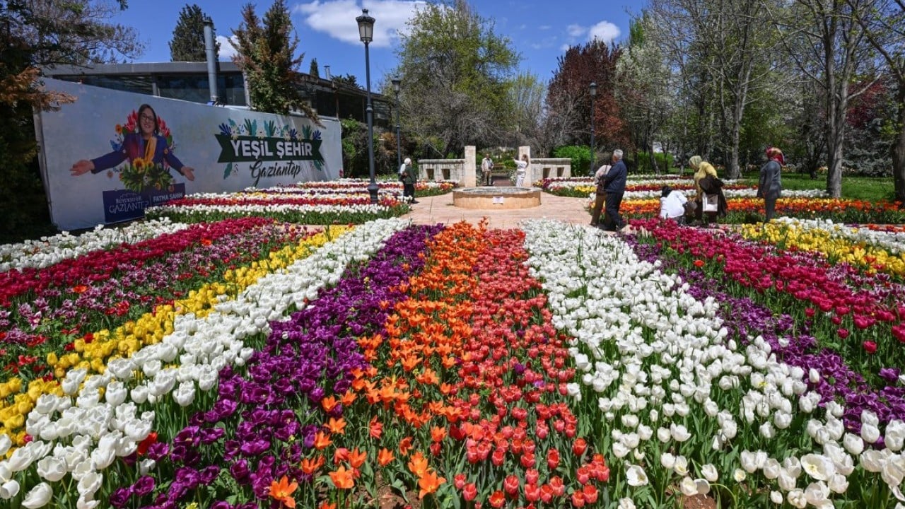 Çeşitli türde 1000 bitki yer alıyor! Botanik Bahçesi'nde ilkbahar renkleri hakim oldu