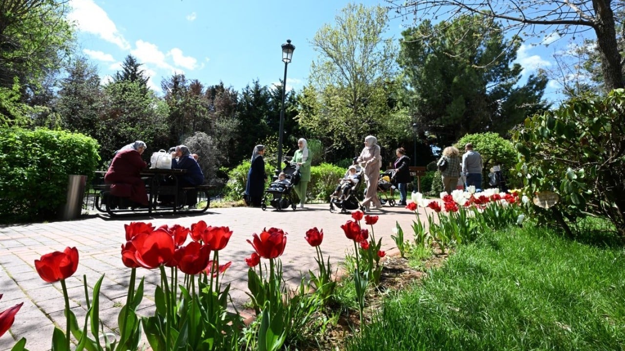 Foto - Çeşitli türde 1000 bitki yer alıyor! Botanik Bahçesi'nde ilkbahar renkleri hakim oldu