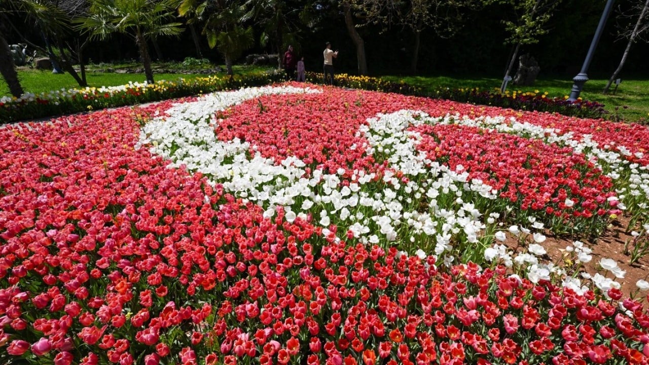 Foto - Çeşitli türde 1000 bitki yer alıyor! Botanik Bahçesi'nde ilkbahar renkleri hakim oldu