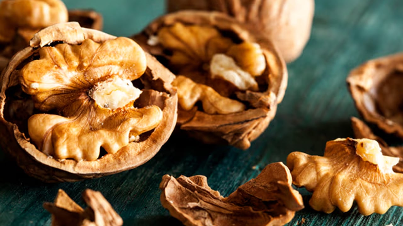 Foto - Ceviz hasadı Denizli'de başladı: Denizli Valisi hem temsili ceviz topladı hem de açıklamalarda bulundu