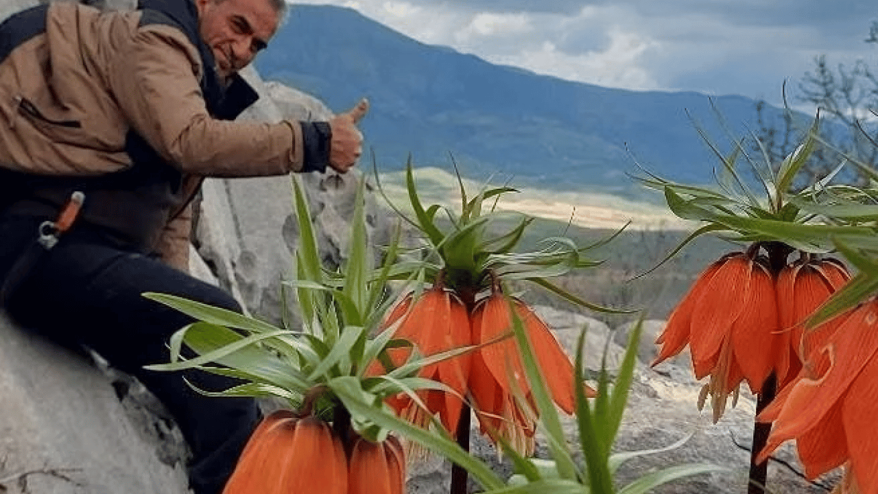 Foto - Cezası dudak uçuklatıyor! Bu çiçeği koparan yandı