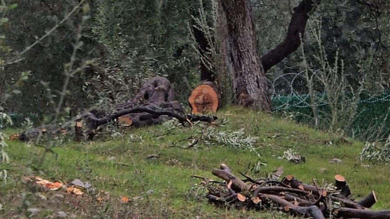 Foto - CHP zihniyetinin ikiyüzlülüğünü gözler önüne sermişti… Cezası belli oldu!