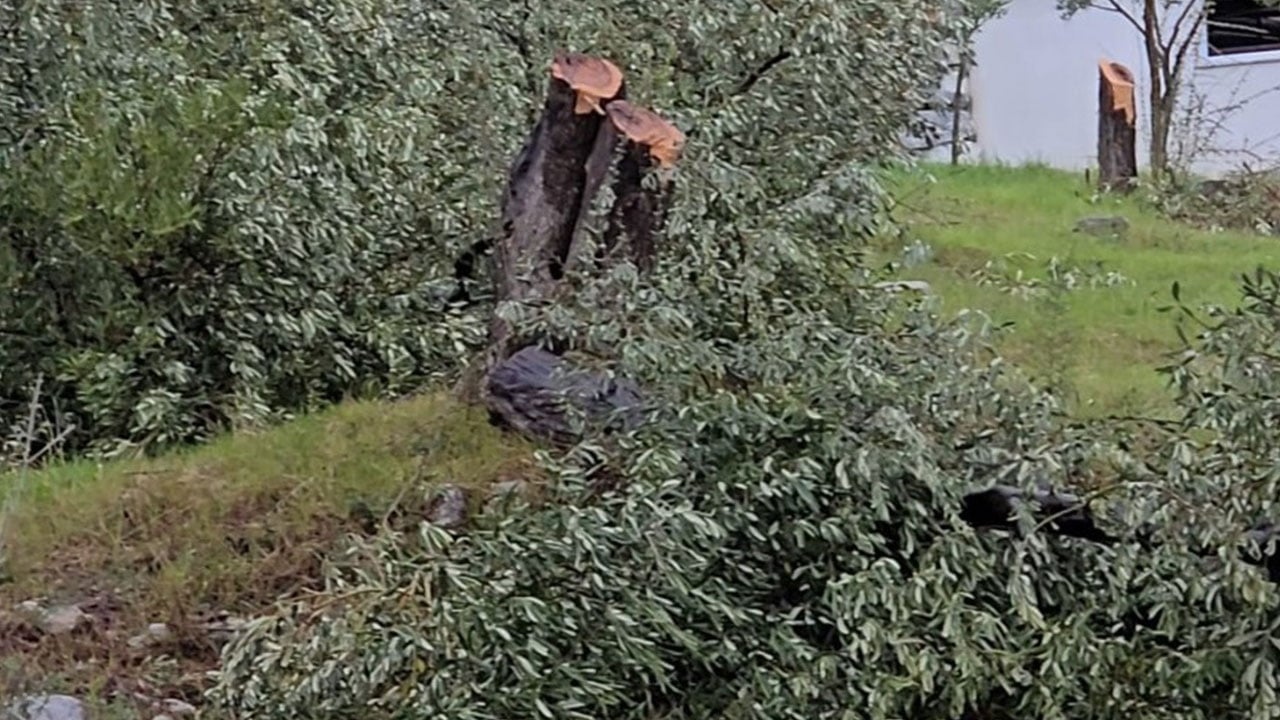 Foto - CHP zihniyetinin ikiyüzlülüğünü gözler önüne sermişti… Cezası belli oldu!