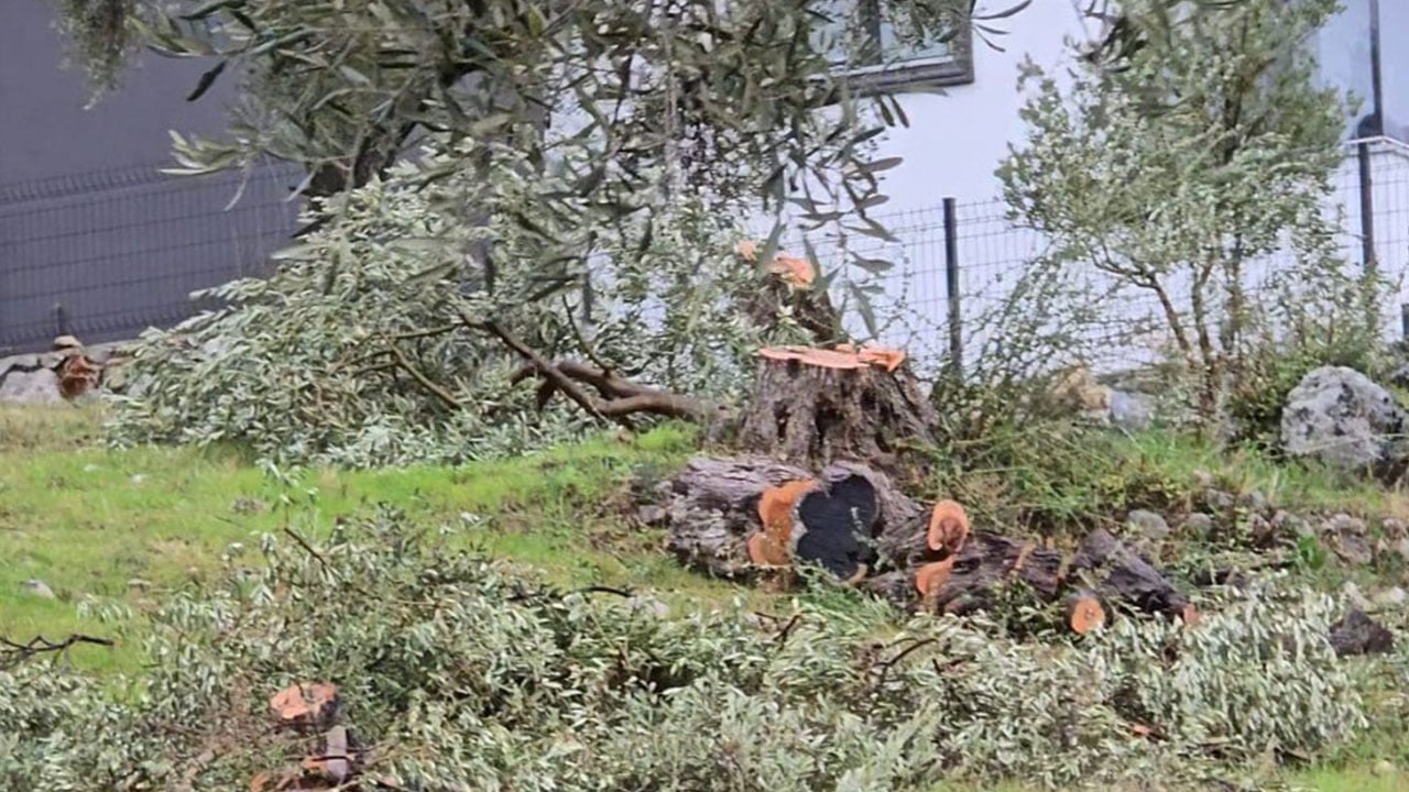 Foto - CHP zihniyetinin ikiyüzlülüğünü gözler önüne sermişti… Cezası belli oldu!