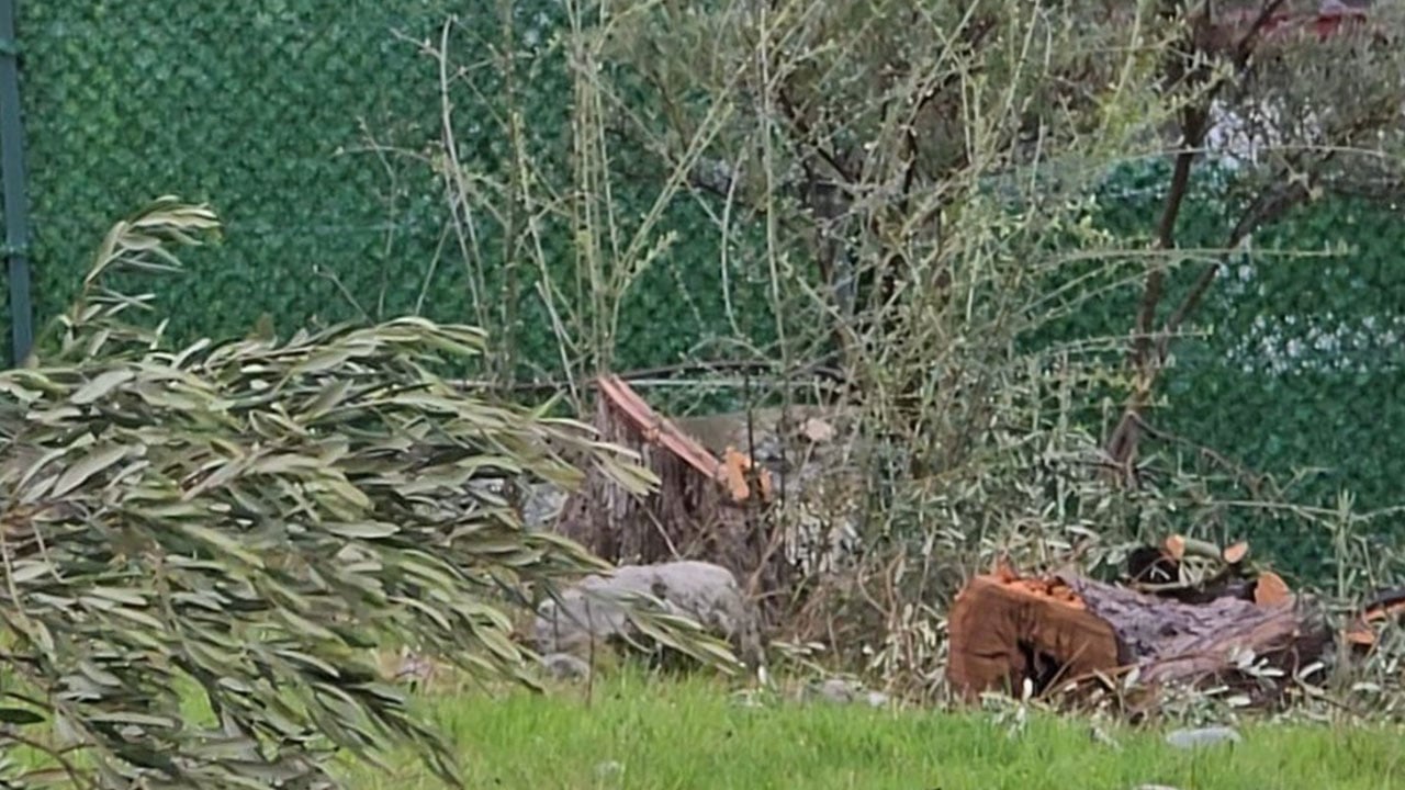 Foto - CHP zihniyetinin ikiyüzlülüğünü gözler önüne sermişti… Cezası belli oldu!