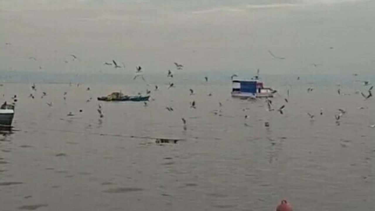 Foto - CHP'den görüşmemiş hizmet! İzmir Körfezi’ni kötü koku sardı