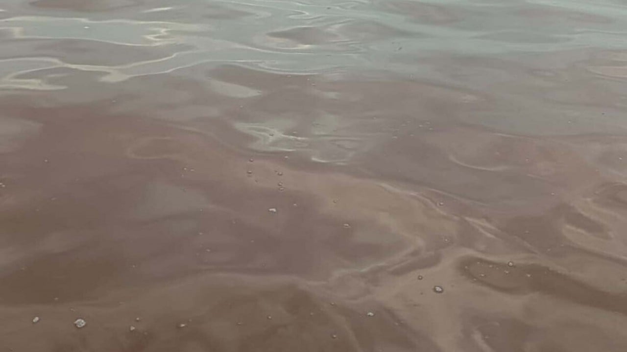 Foto - CHP'den görüşmemiş hizmet! İzmir Körfezi’ni kötü koku sardı