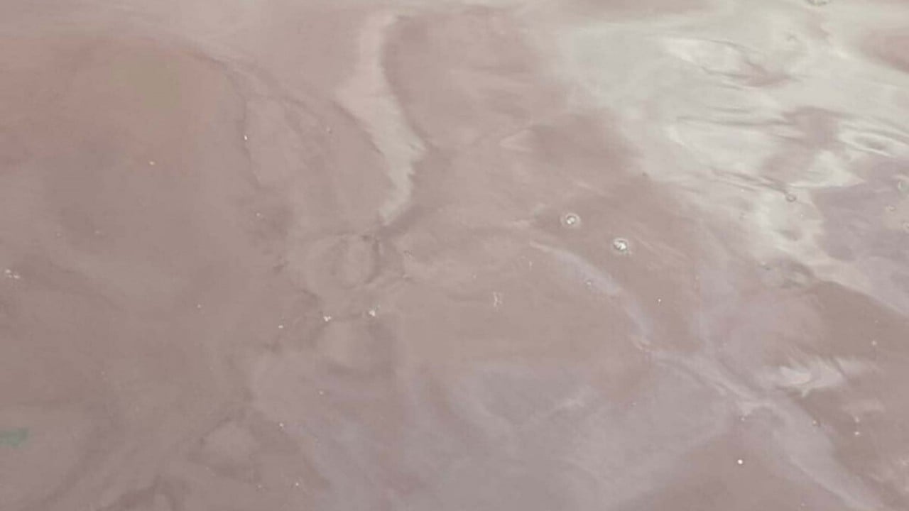 Foto - CHP'den görüşmemiş hizmet! İzmir Körfezi’ni kötü koku sardı