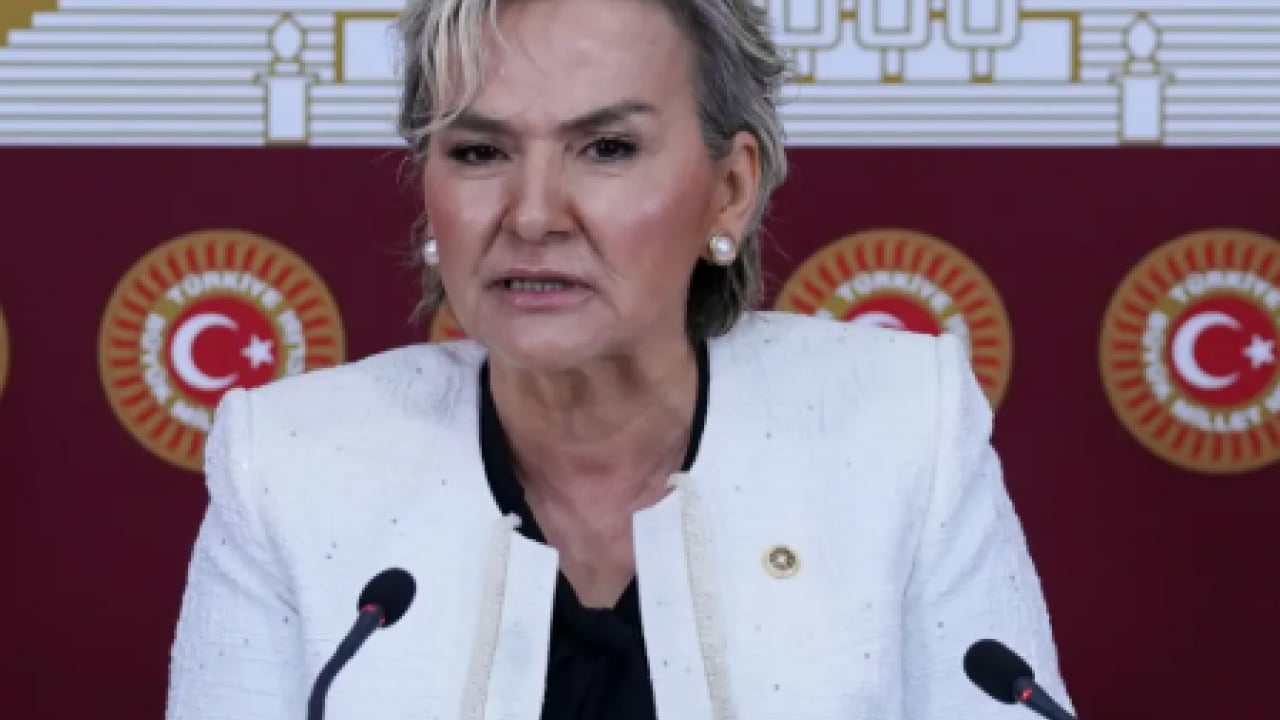 Foto - CHP’den köpeklere dokunulmazlık teklifi: ‘Kısırlaştırıp salın sokaklara!