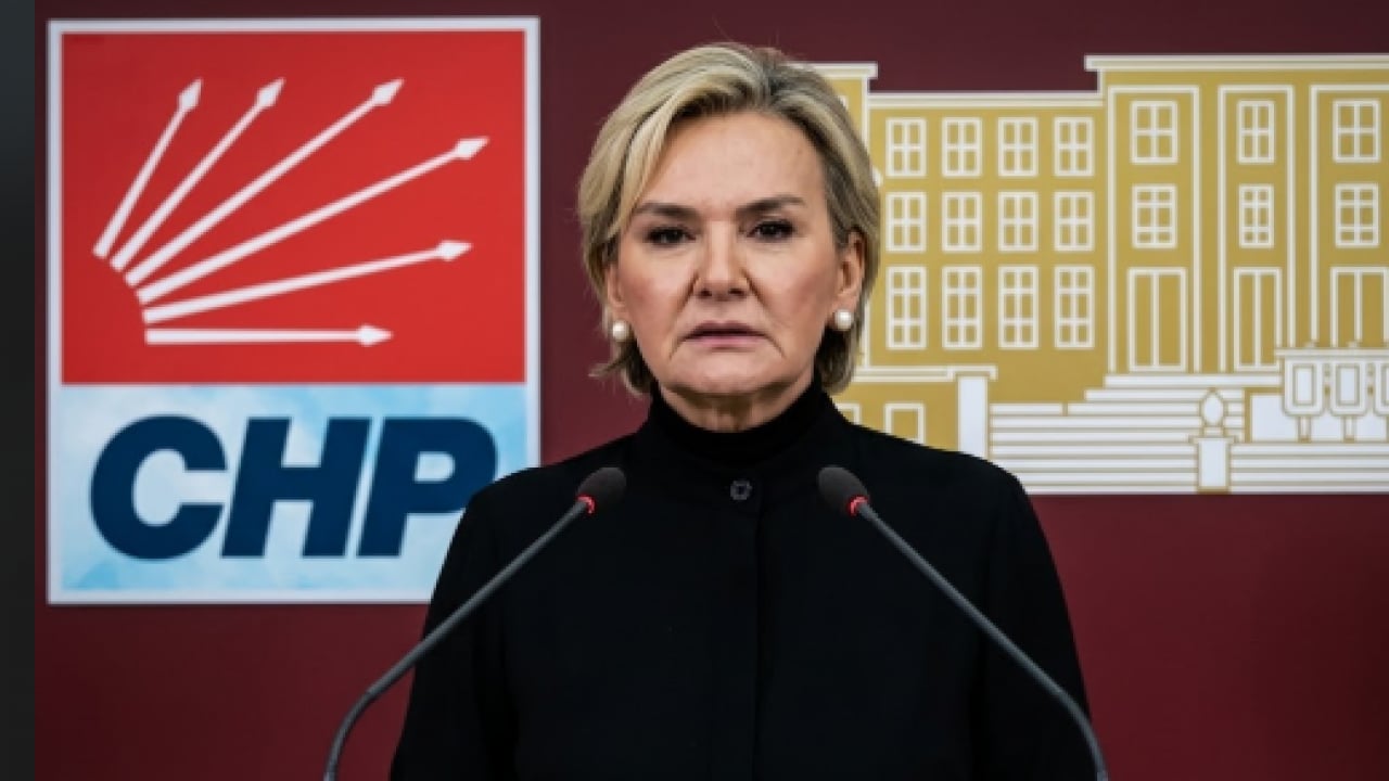 Foto - CHP’den köpeklere dokunulmazlık teklifi: ‘Kısırlaştırıp salın sokaklara!