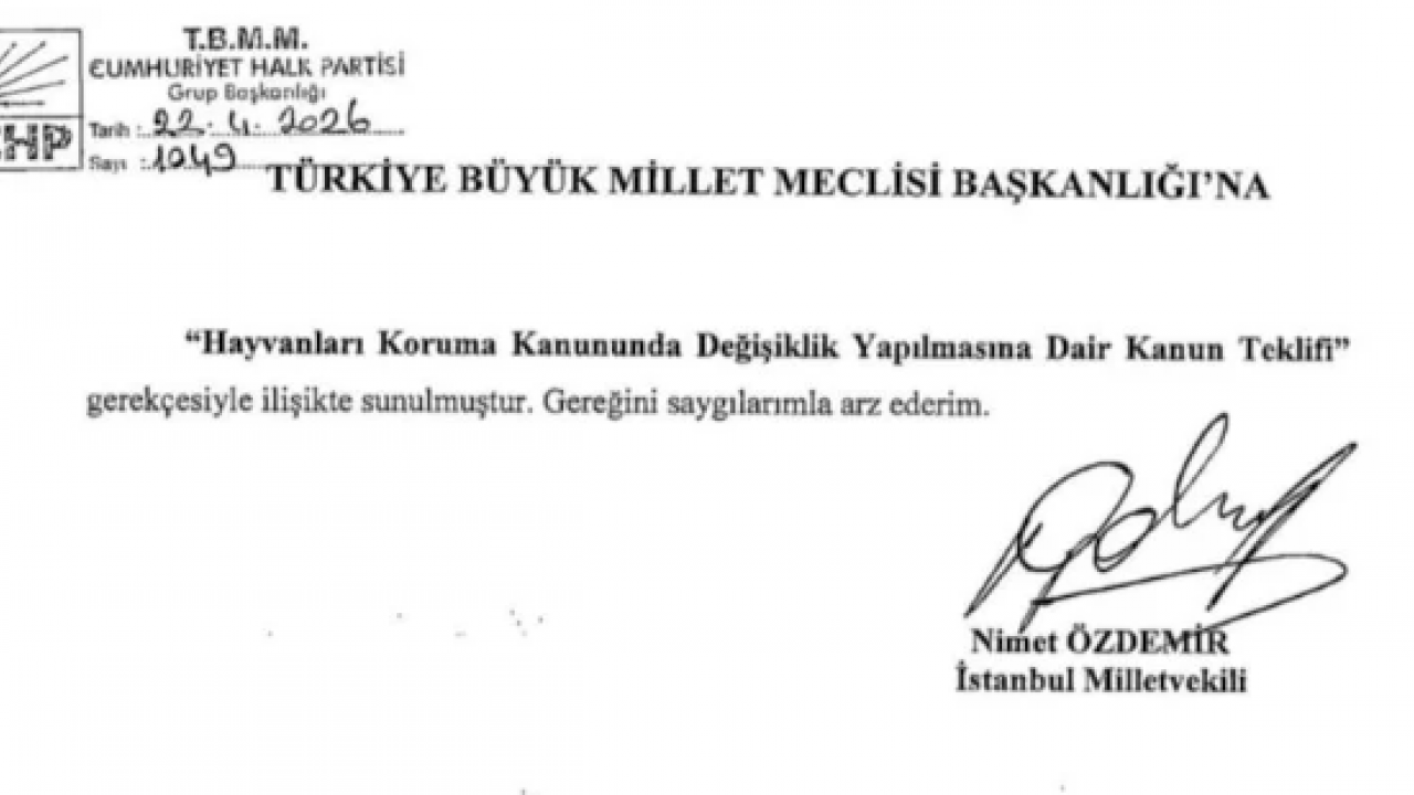 Foto - CHP’den köpeklere dokunulmazlık teklifi: ‘Kısırlaştırıp salın sokaklara!