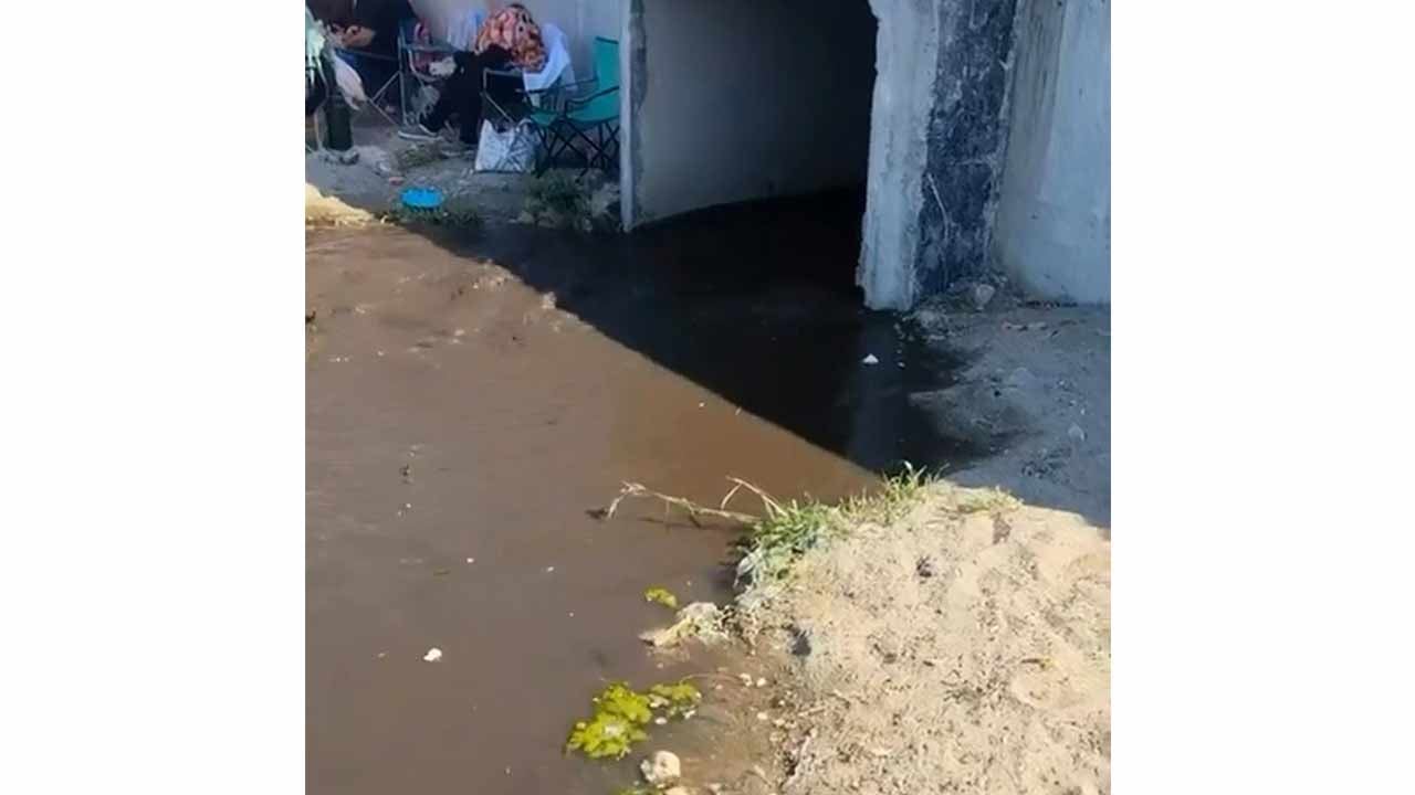 Foto - Bunu da gördük: "Tepemize s..tı" deyimi CHP sayesinde gerçek oldu!