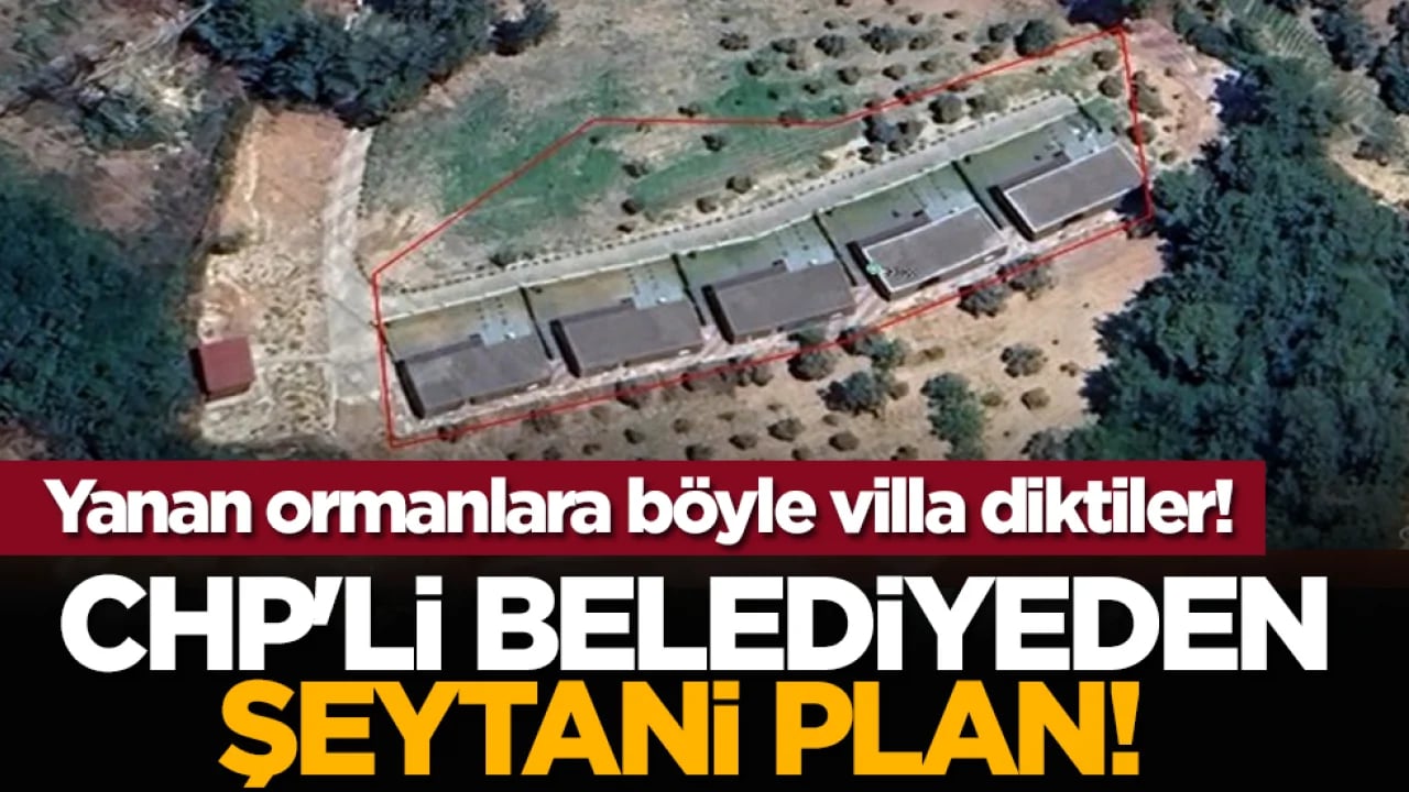 CHP'li belediyeden şeytani plan! Yanan ormanlara böyle villa diktiler!