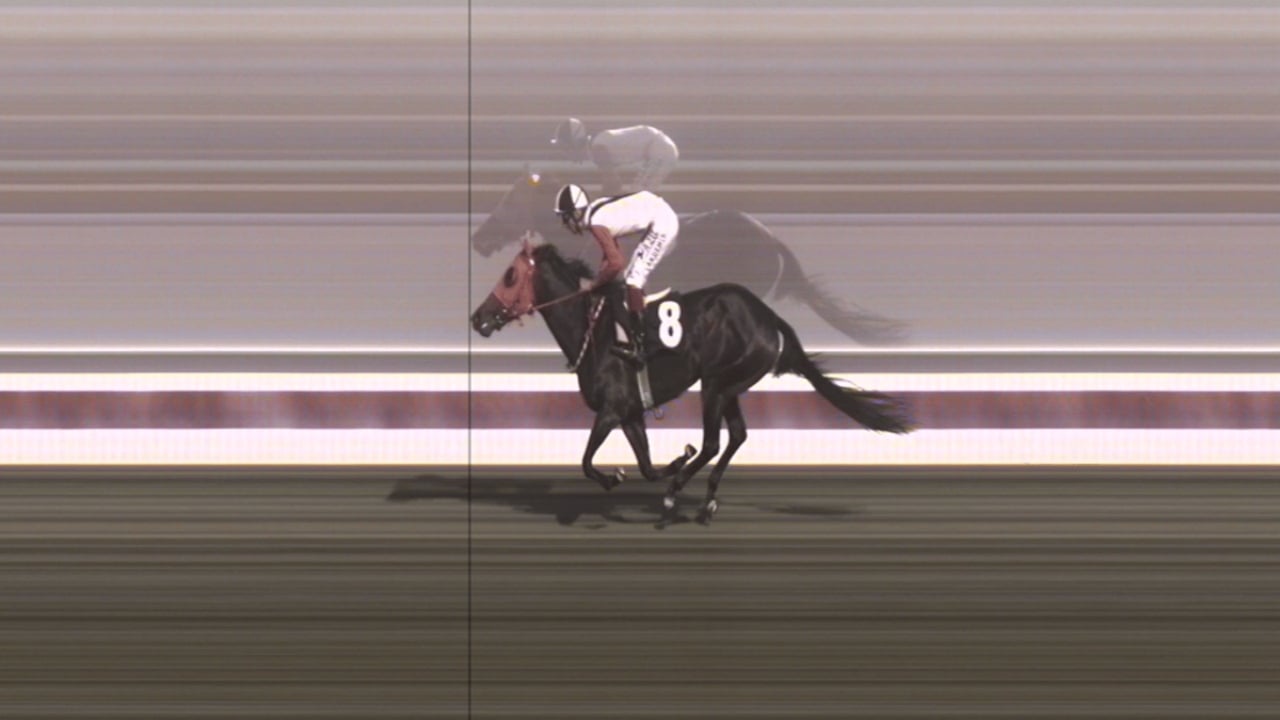 Foto - CHP’li belediyenin dağıttığı kavurmanın yarış atı etinden olduğu ortaya çıkmıştı! Kavurma yapılan atın sahibinden olay açıklama