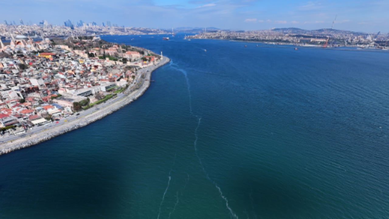 Foto - CHP'li İBB idaresindeki İstanbul can çekişiyor: Boğaz’da denizanası istilası