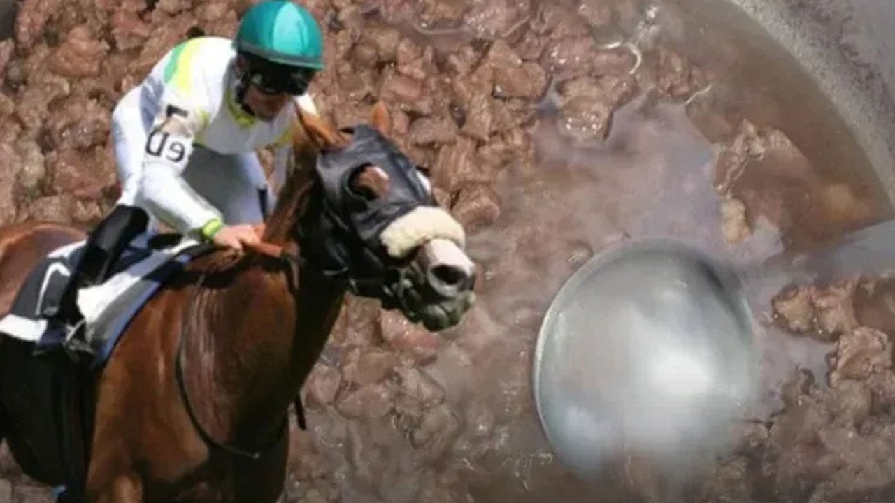 Foto - CHP’li Mersin Belediyesi vatandaşa yedirmişti! Yarış atı kavurmasında skandal detay…