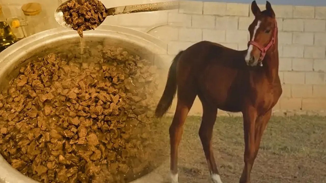 Foto - CHP’li Mersin Belediyesi vatandaşa yedirmişti! Yarış atı kavurmasında skandal detay…