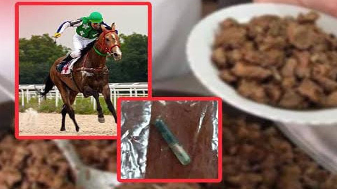 Foto - CHP’li Mersin Belediyesi vatandaşa yedirmişti! Yarış atı kavurmasında skandal detay…