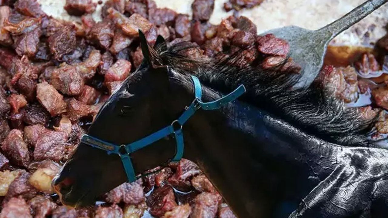 Foto - CHP’li Mersin Belediyesi vatandaşa yedirmişti! Yarış atı kavurmasında skandal detay…