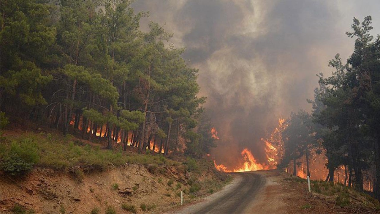 Foto - CHP’lilerin ciğerini yakan övgü! Yangın uzmanlarından Türkiye itirafı