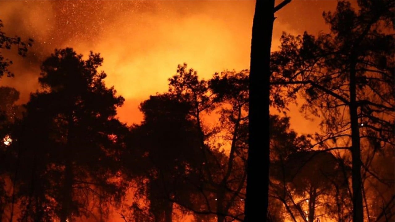Foto - CHP’lilerin ciğerini yakan övgü! Yangın uzmanlarından Türkiye itirafı